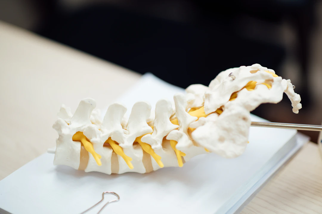 Herniated Discs Explained: Why They Happen and How Chiropractic Care Can Help