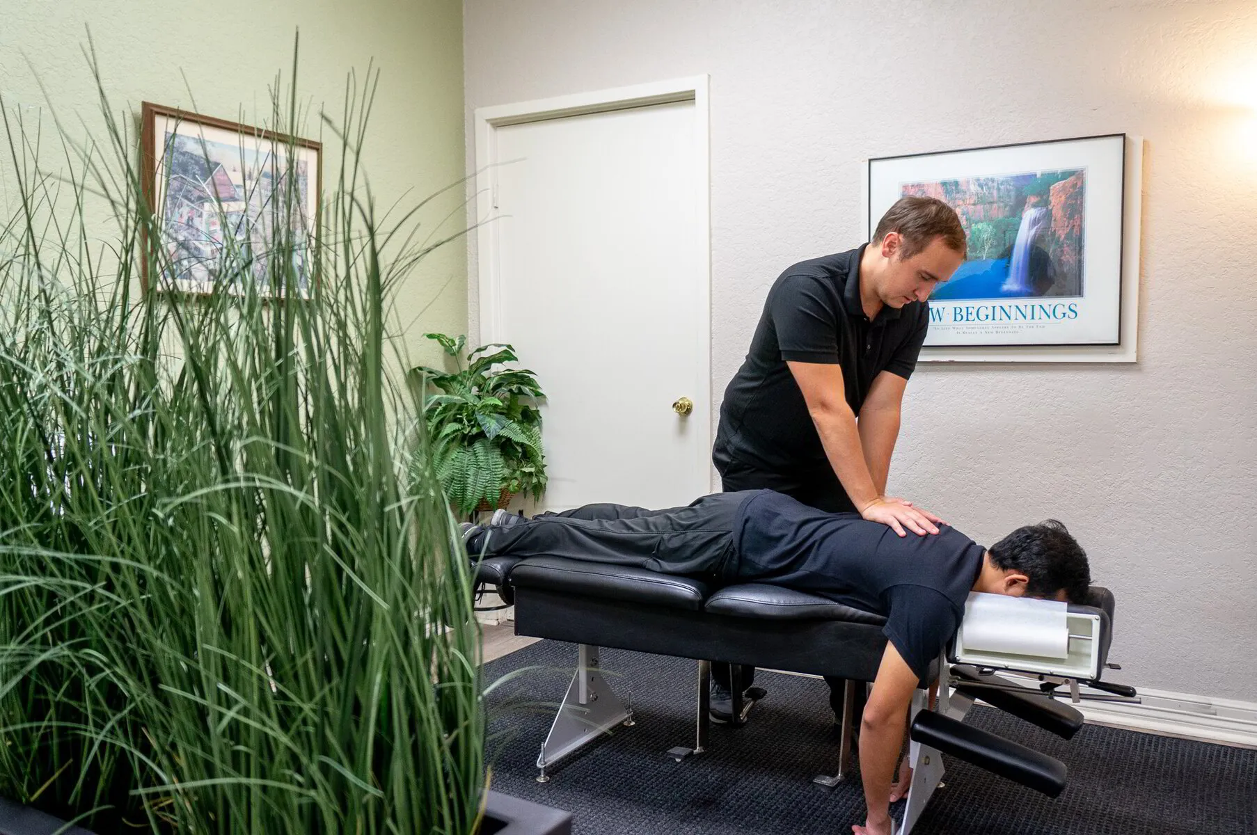 How Your Nervous System and Spine Work Together for Better Health