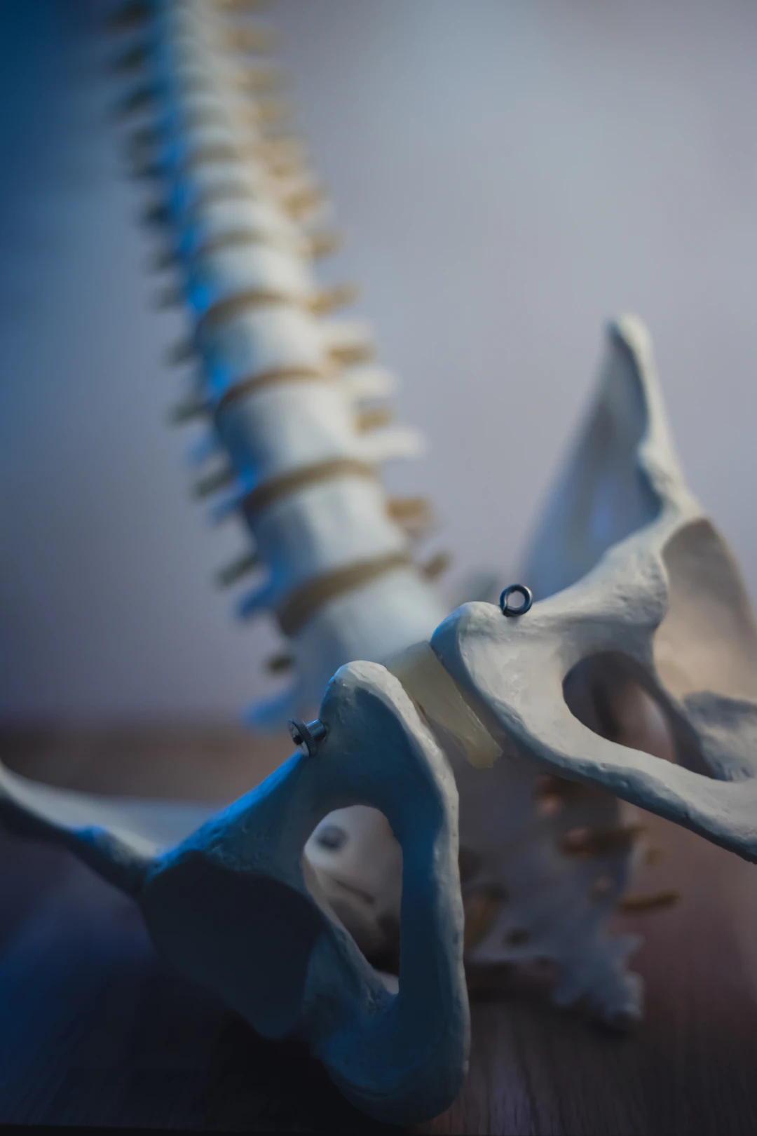 What Is Sciatica? Symptoms, Causes and How Chiropractic Care Can Help